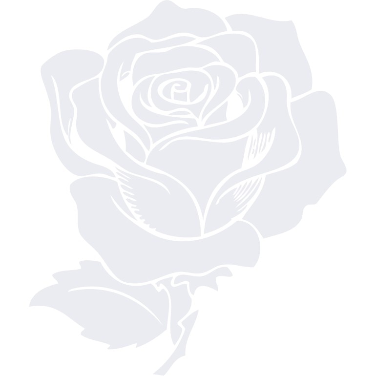 Firul de trandafir - Sticker Decorativ - Alb polar - 83 x 98 cm