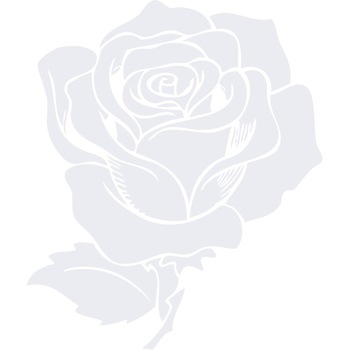 Firul de trandafir - Sticker Decorativ - Alb polar - 83 x 98 cm Firul de trandafir - Sticker Decorativ - Alb polar - 83 x 98 cm