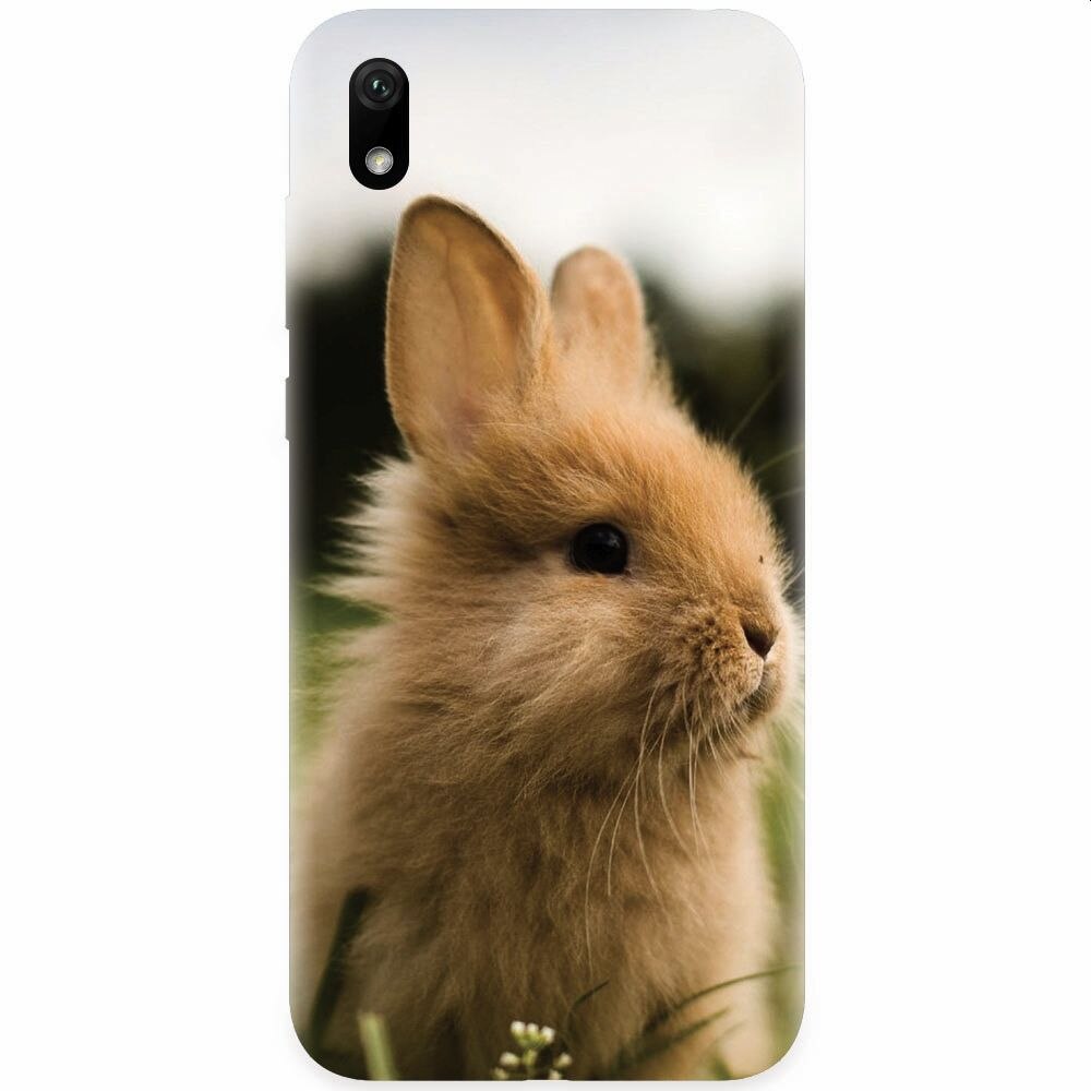 Husa silicon pentru Huawei Y5 2019, Cute Rabbit In Grass