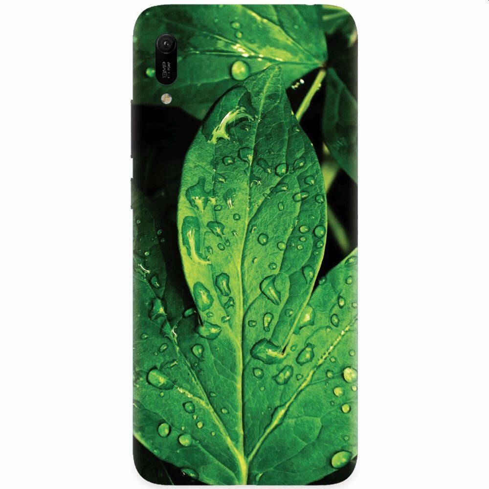 Husa silicon pentru Huawei Y6 2019, Leaves And Dew
