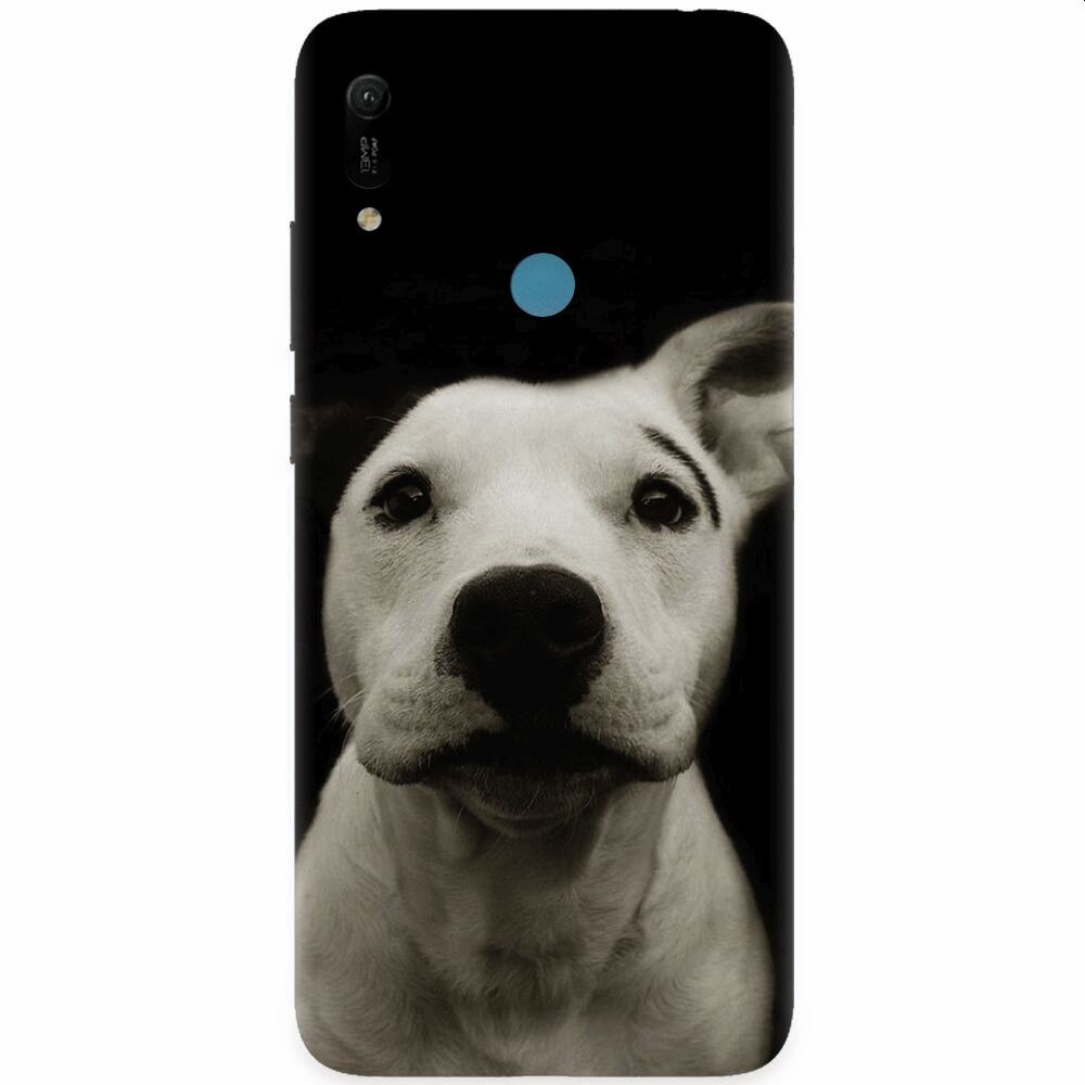 Husa silicon pentru Huawei Y6 Prime 2019, Funny Dog