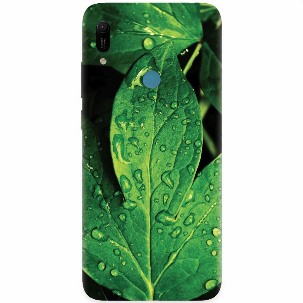 Husa silicon pentru Huawei Y6 Prime 2019, Leaves And Dew