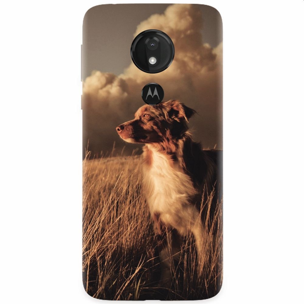Husa silicon pentru Motorola Moto G7 Power, Alone Dog Animal In Grass