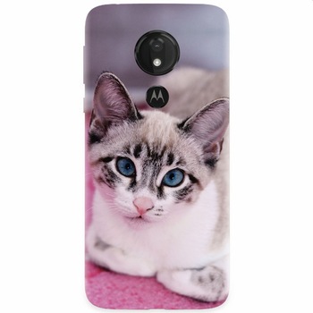 Husa silicon pentru Motorola Moto G7 Power, Siamese Kitty Husa silicon pentru Motorola Moto G7 Power, Siamese Kitty