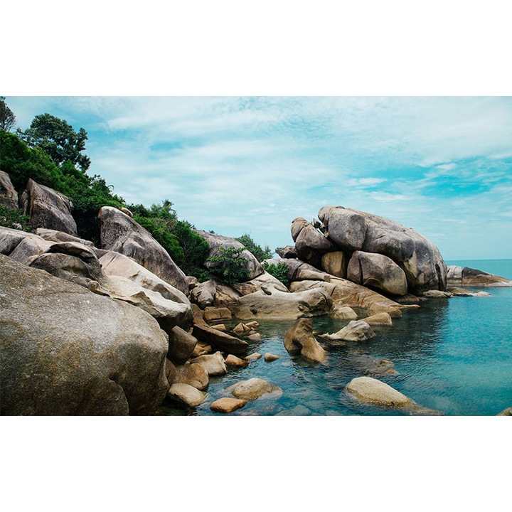 Tablou Canvas Decorativ 65 x 95 cm Model TR38