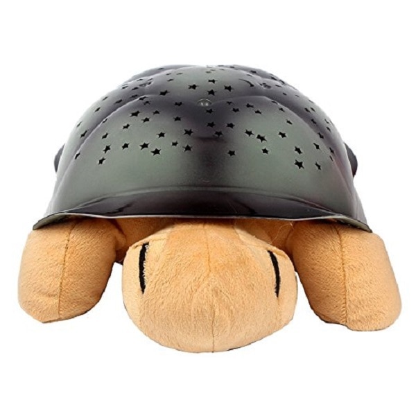 Broasca testoasa luminoasa Maro