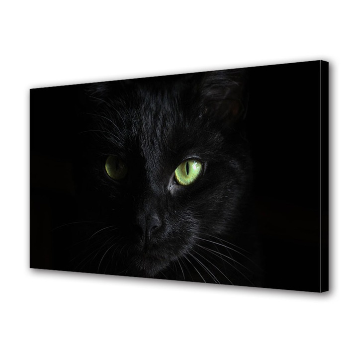 Tablou Canvas Halloween Pisica cu ochi verzi, 80 x 120 cm