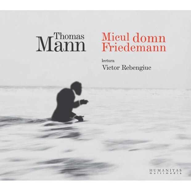 Micul domn Friedemann - Audiobook - Victor Rebengiuc