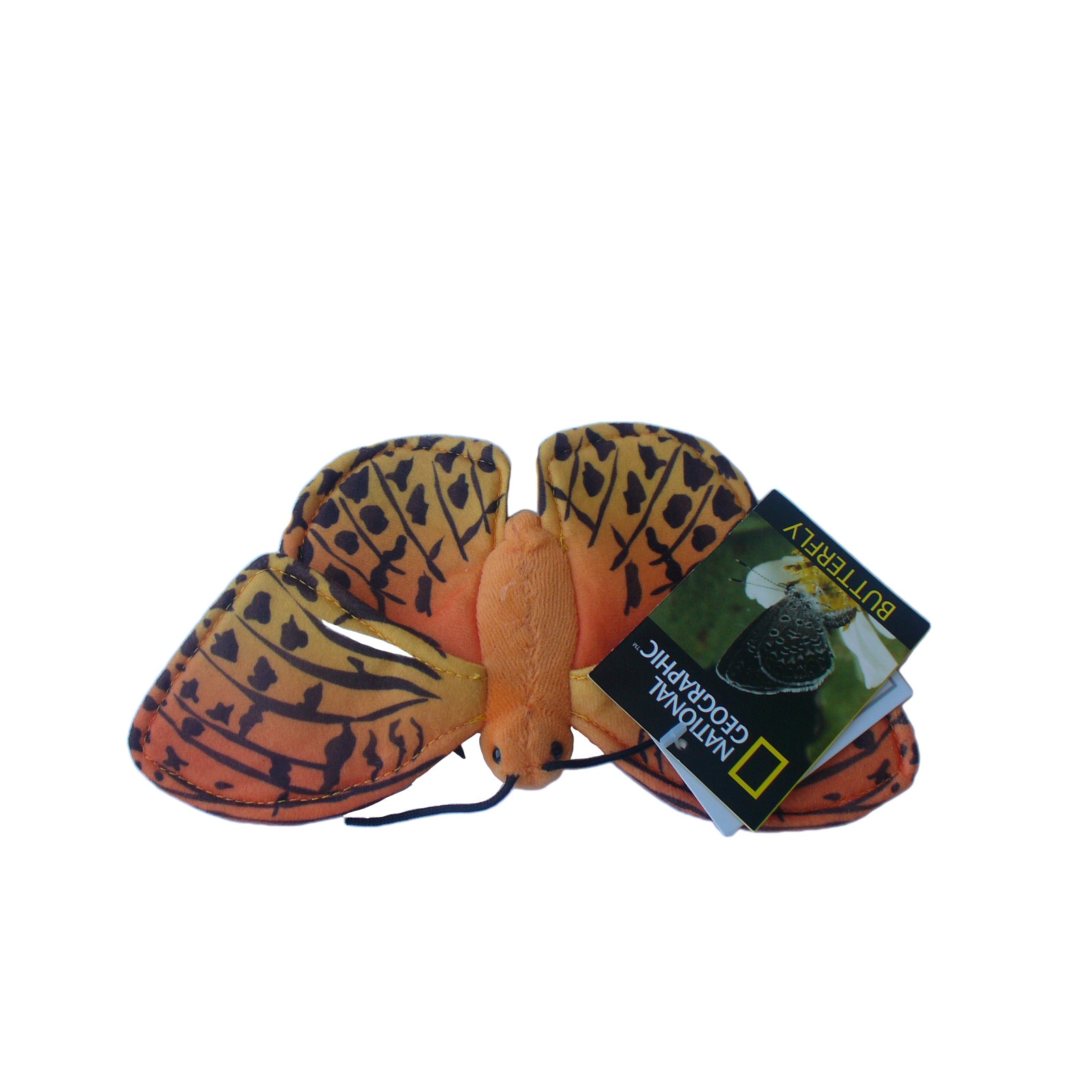 Jucarie de plus Fluture, National Geographic, Modelul 6