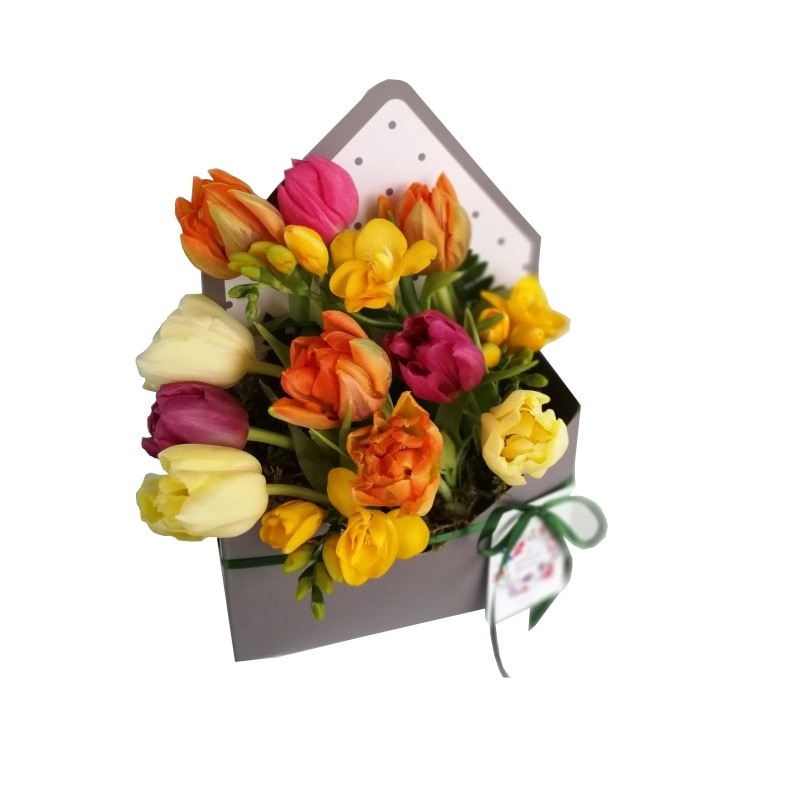 Aranjament floral in plic, Olla, vestitorii primaverii, multicolor