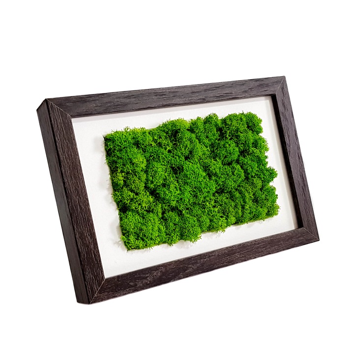 Rama foto cu licheni Elli's Blooming Garden, green, Verde, maro inchis, 10x15 cm