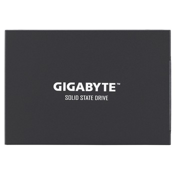 Imagini GIGABYTE GP-GSTFS30256GTTD - Compara Preturi | 3CHEAPS