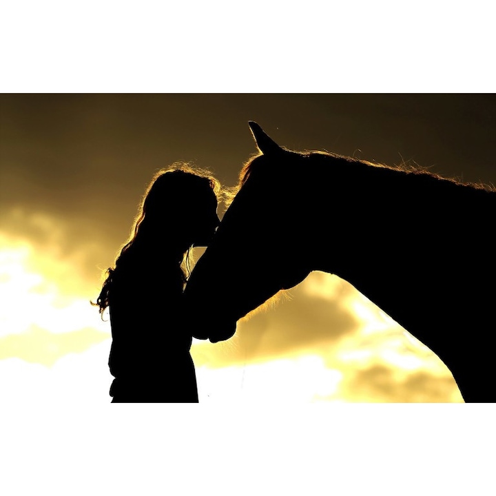 Best friends öntapadós tapéta, 80x125 cm