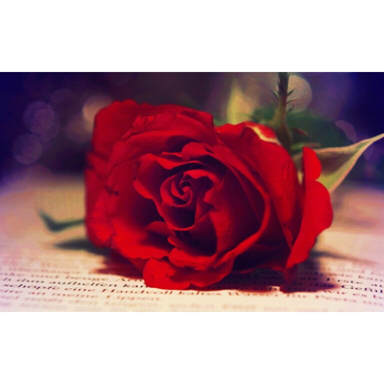 Tablou canvas Flori model 8, 100x70 cm