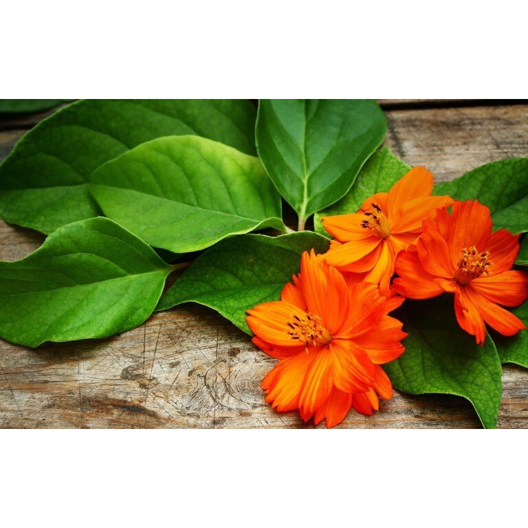 Tablou canvas Flori model 15, 50x35 cm