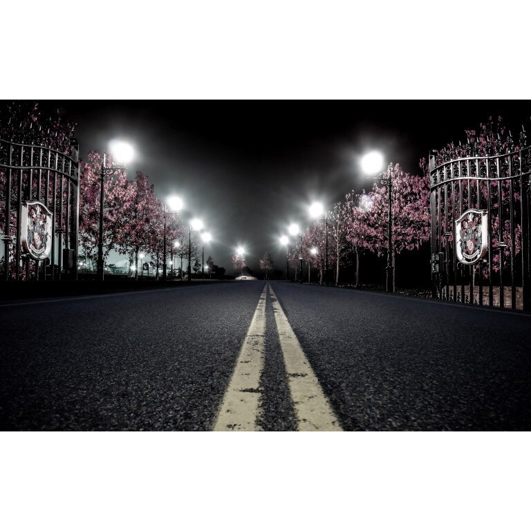 Tablou canvas Drumul din noapte, 75x50 cm