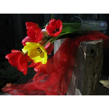 Tablou canvas Flori model 29, 100x70 cm Tablou canvas Flori model 29, 100x70 cm