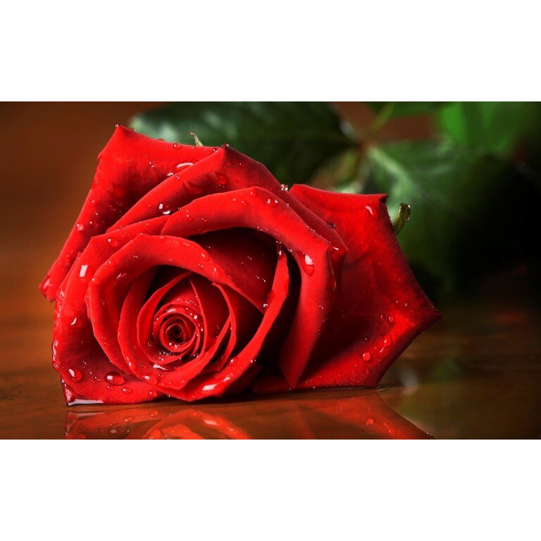 Tablou canvas Flori model 18, 100x70 cm