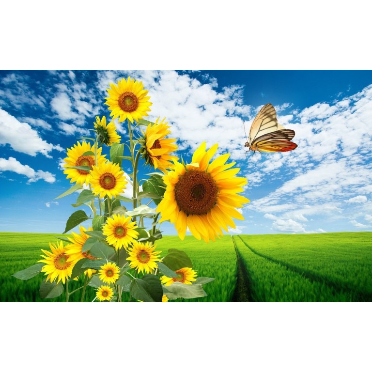 Tablou canvas Flori model 34, 50x90 cm