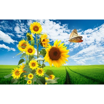 Tablou canvas Flori model 34, 50x90 cm Tablou canvas Flori model 34, 50x90 cm