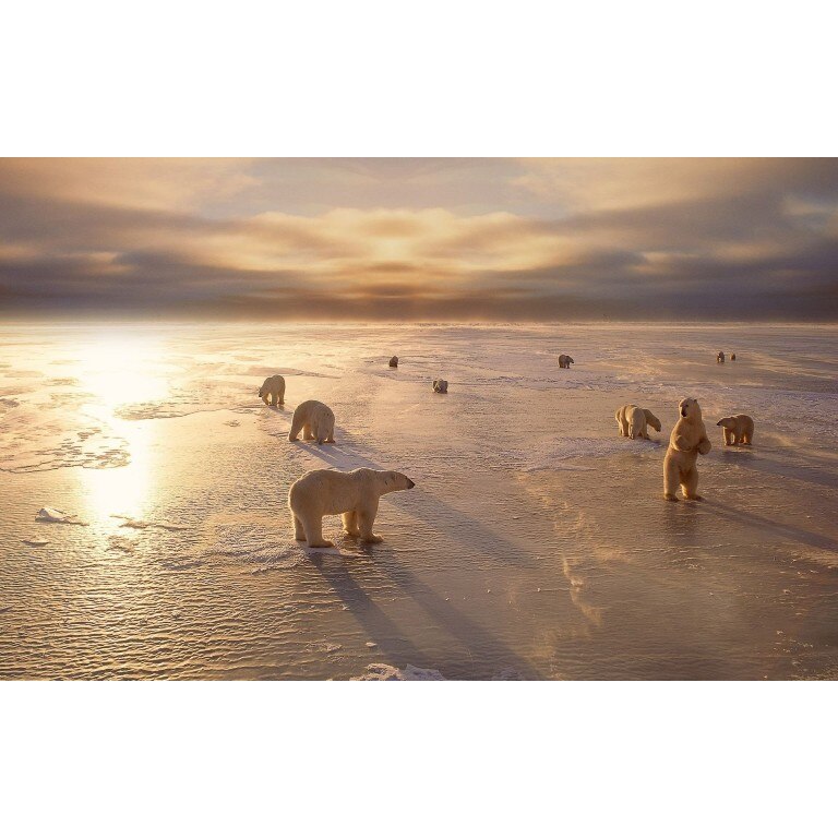 Tablou canvas La soare, 60x40 cm