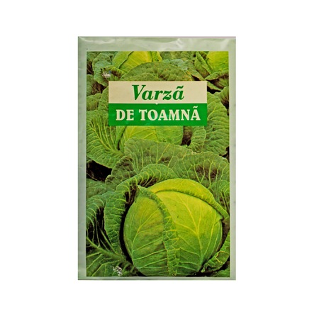 Varza Tot Ce Trebuie Sa Stii Despre Plantare Intretinere Si Recoltare