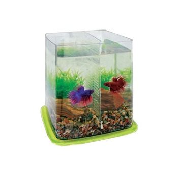 Acvariu Betta Battle Paradise 6,4l Acvariu Betta Battle Paradise 6,4l