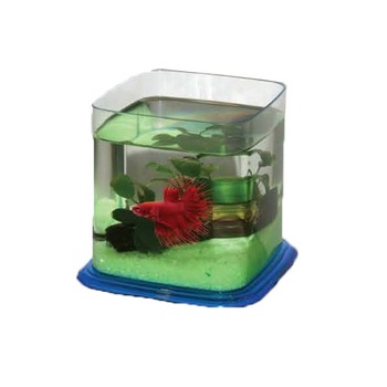 Mini acvariu de plastic Classica Betta Paradise 1,9 l Mini acvariu de plastic Classica Betta Paradise 1,9 l