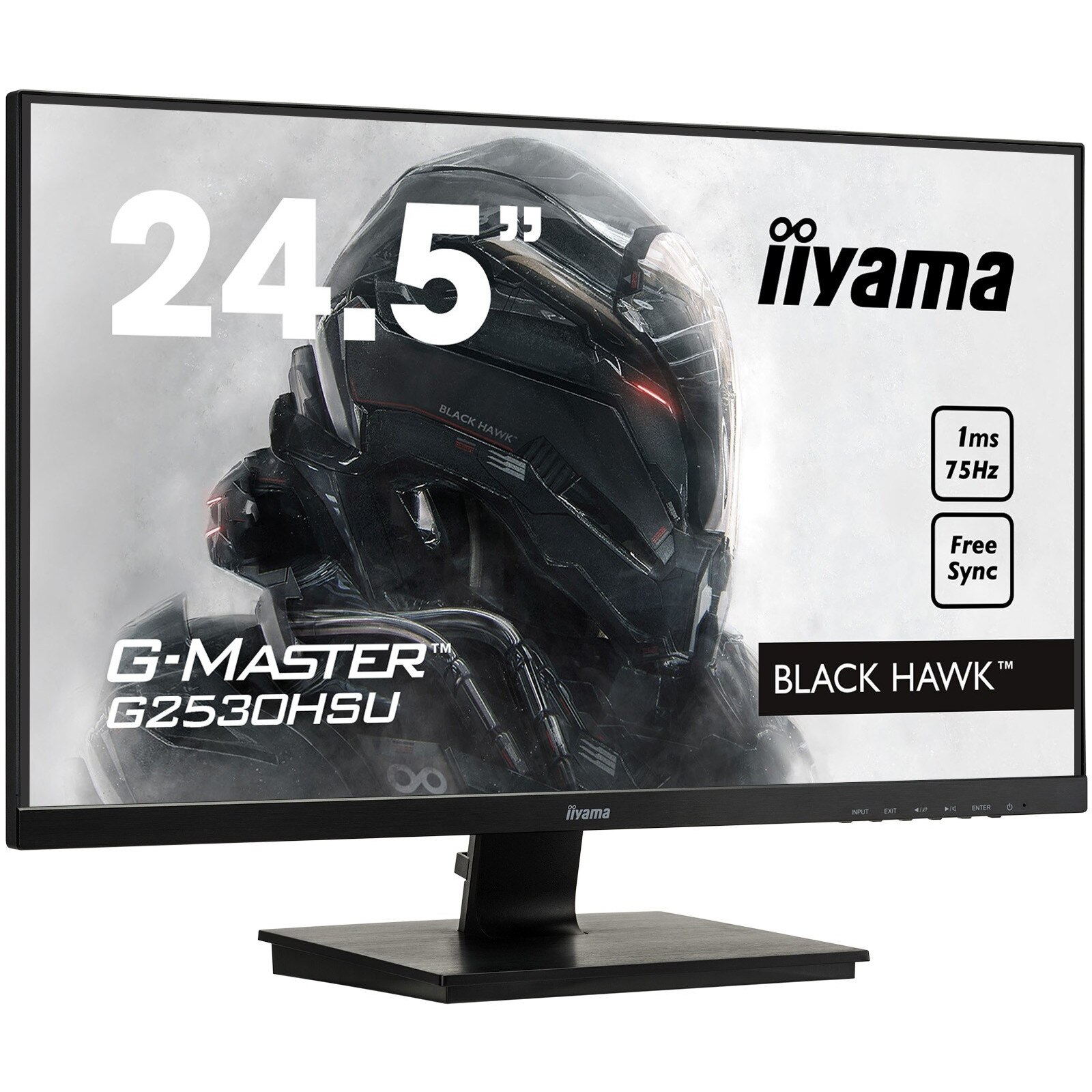 Monitor iiyama G-MASTER, 25 