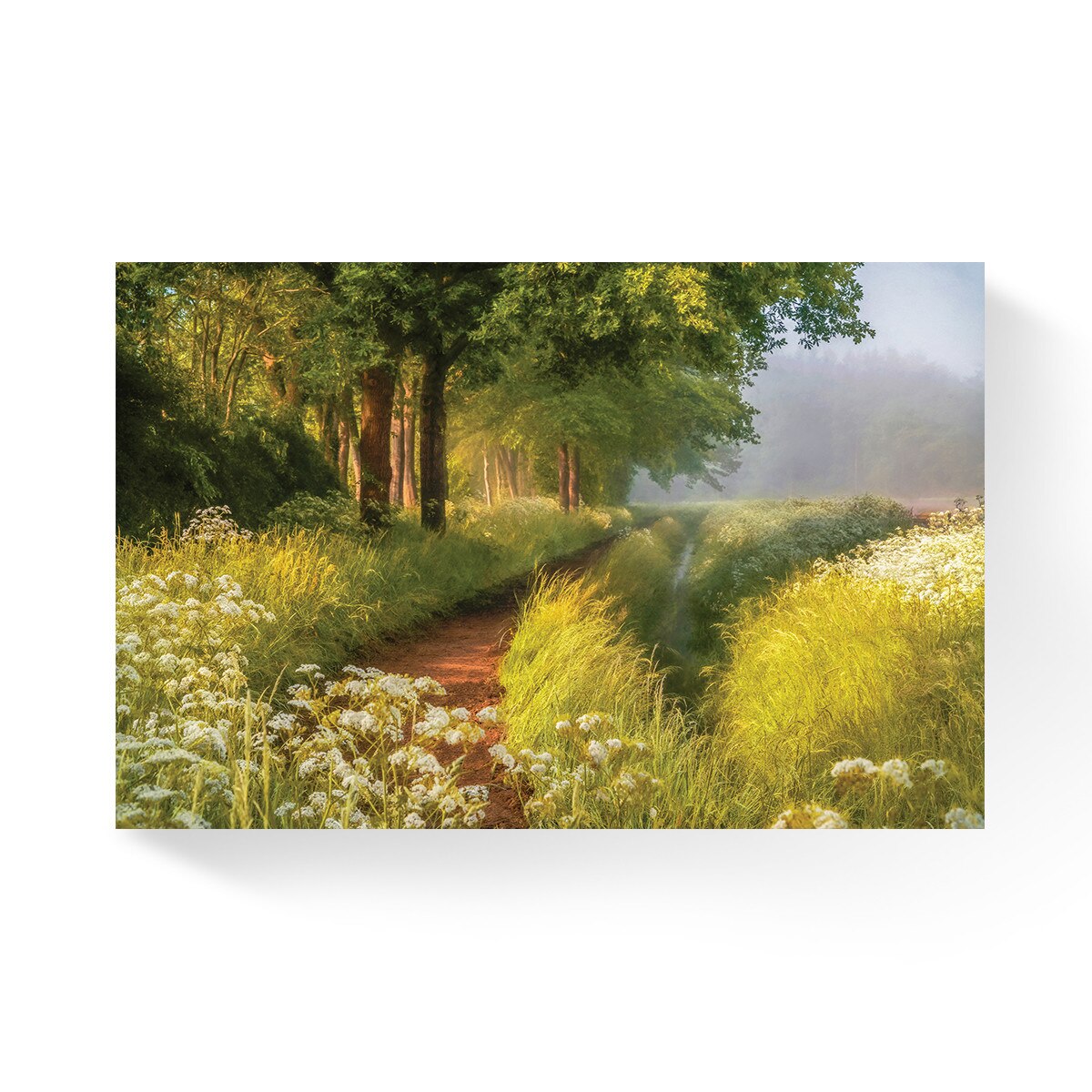 Tablou Canvas - Padure, Copaci, Soare, Lumina, Liniste, Drumetie, 60 x 90 cm
