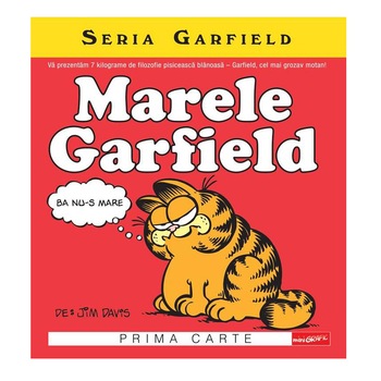 Benzi Desenate Personaj Principal Garfield Libertate In Fiecare Zi Emag Ro