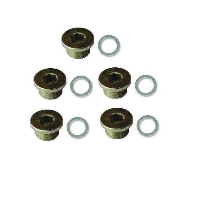 Set 5 dopuri + 5 saibe pentru 9151(M20x1.5)