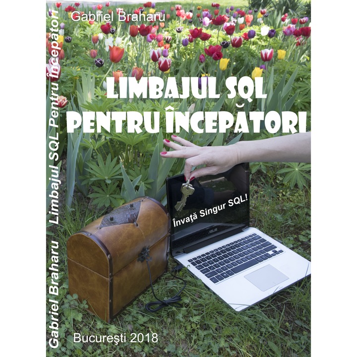 Limbajul SQL Pentru Incepatori