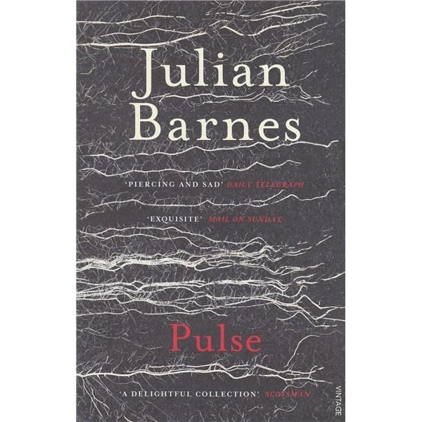 Pulse - Julian Barnes