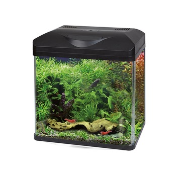 Acvariu Amtra Laguna 30, Negru, Led, 16L Acvariu Amtra Laguna 30, Negru, Led, 16L