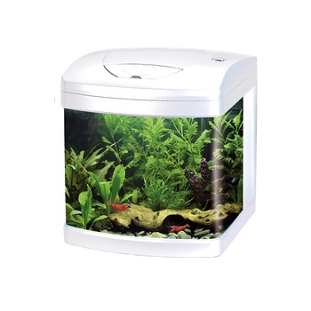 Acvariu Amtra xCube, Alb, Led, 26L Acvariu Amtra xCube, Alb, Led, 26L