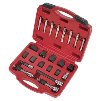 Trusa chei electromotoare/fulii de alternatoare, 23 piese, Sealey Trusa chei electromotoare/fulii de alternatoare, 23 piese, Sealey