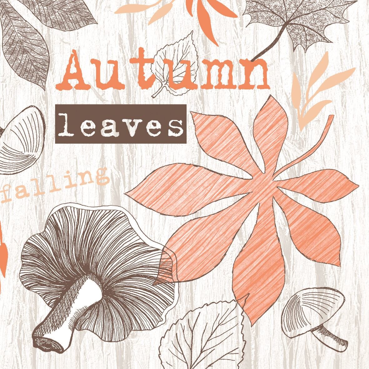 Set Servetele Adam, Terakotta, 40x40 cm, 50 bucati