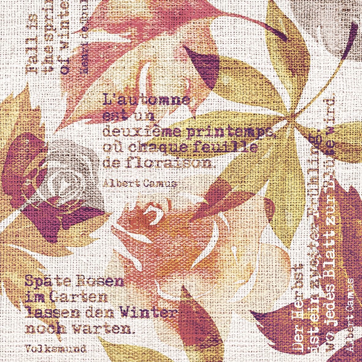 Set Servetele Gunnar, Brown, 40x40 cm, 50 bucati