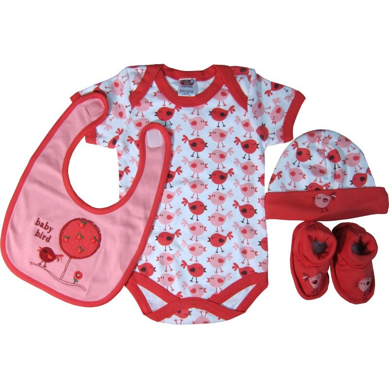 Set cadou bebe 4 piese, Primii Pasi, 0-6 luni