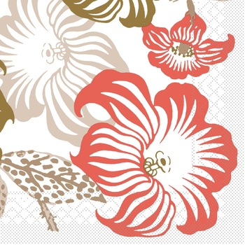 Set Servetele Mara, 40x40 cm, 50 bucati Set Servetele Mara, 40x40 cm, 50 bucati