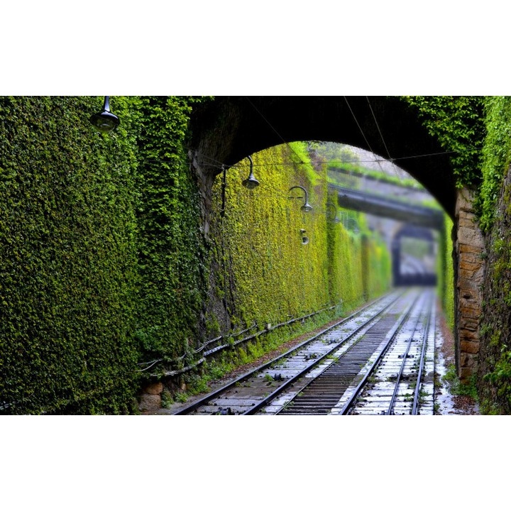 Fototapet autoadeziv Canvas Peisaje Urban 72, 100x70 cm