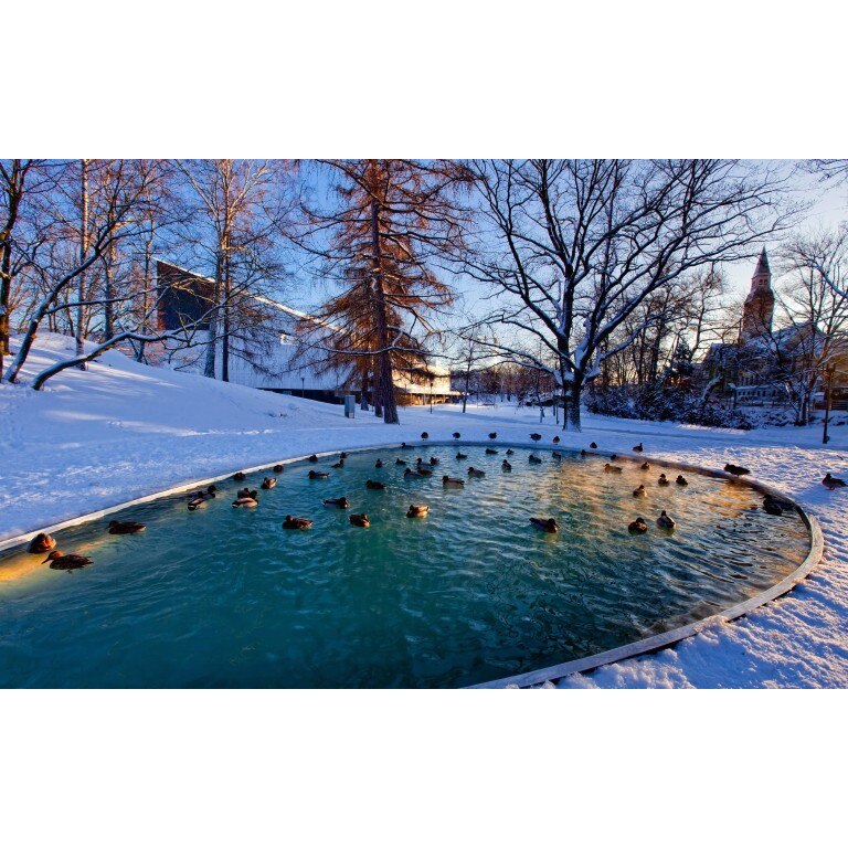 Fototapet autoadeziv Peisaje Urban 105, 70x120 cm