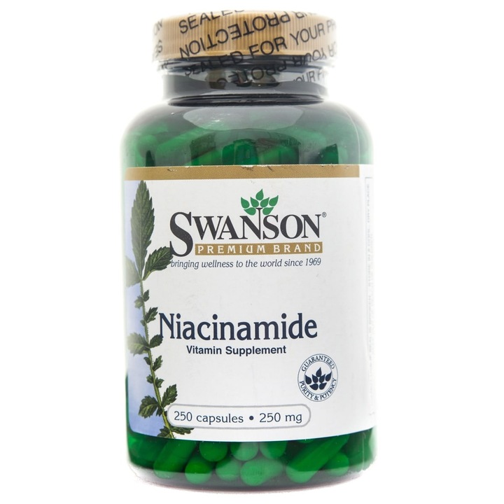 Swanson Niacinamide 500 mg 250 capsule