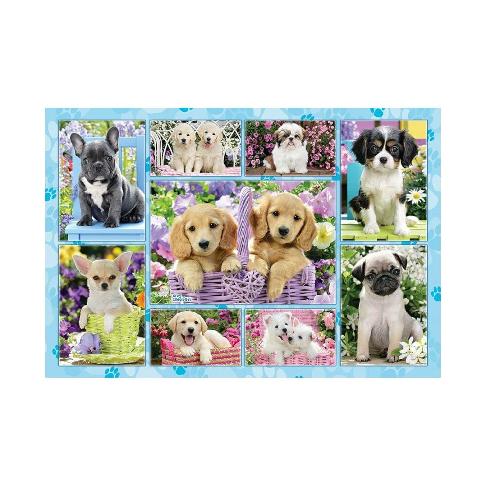 puzzles for puppies