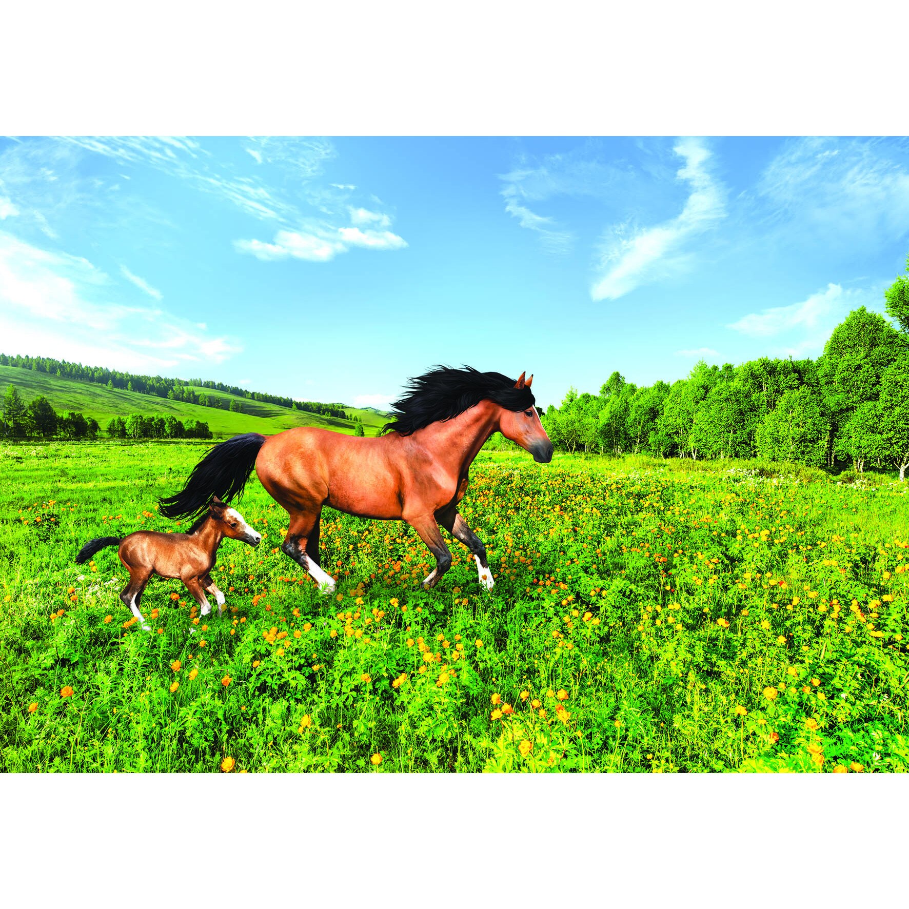 Fototapet DEGRETS 84577 Cai 2 136x194cm