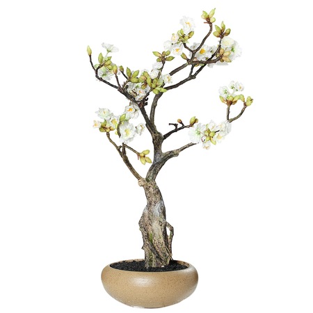 Bonsai Artificial De Cires Crem In Vas Ceramic 50 Cm Emag Ro