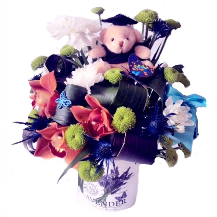 Aranjament absolvire, Ayana Damaris, Multicolor