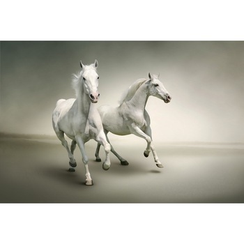 Tablou canvas Cai albi in galop, 45 x 30 cm Tablou canvas Cai albi in galop, 45 x 30 cm