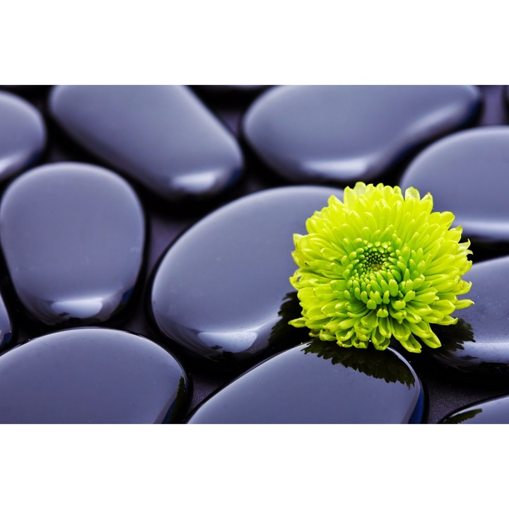 Fototapet Crizantema verde cu pietre, 300 x 250 cm